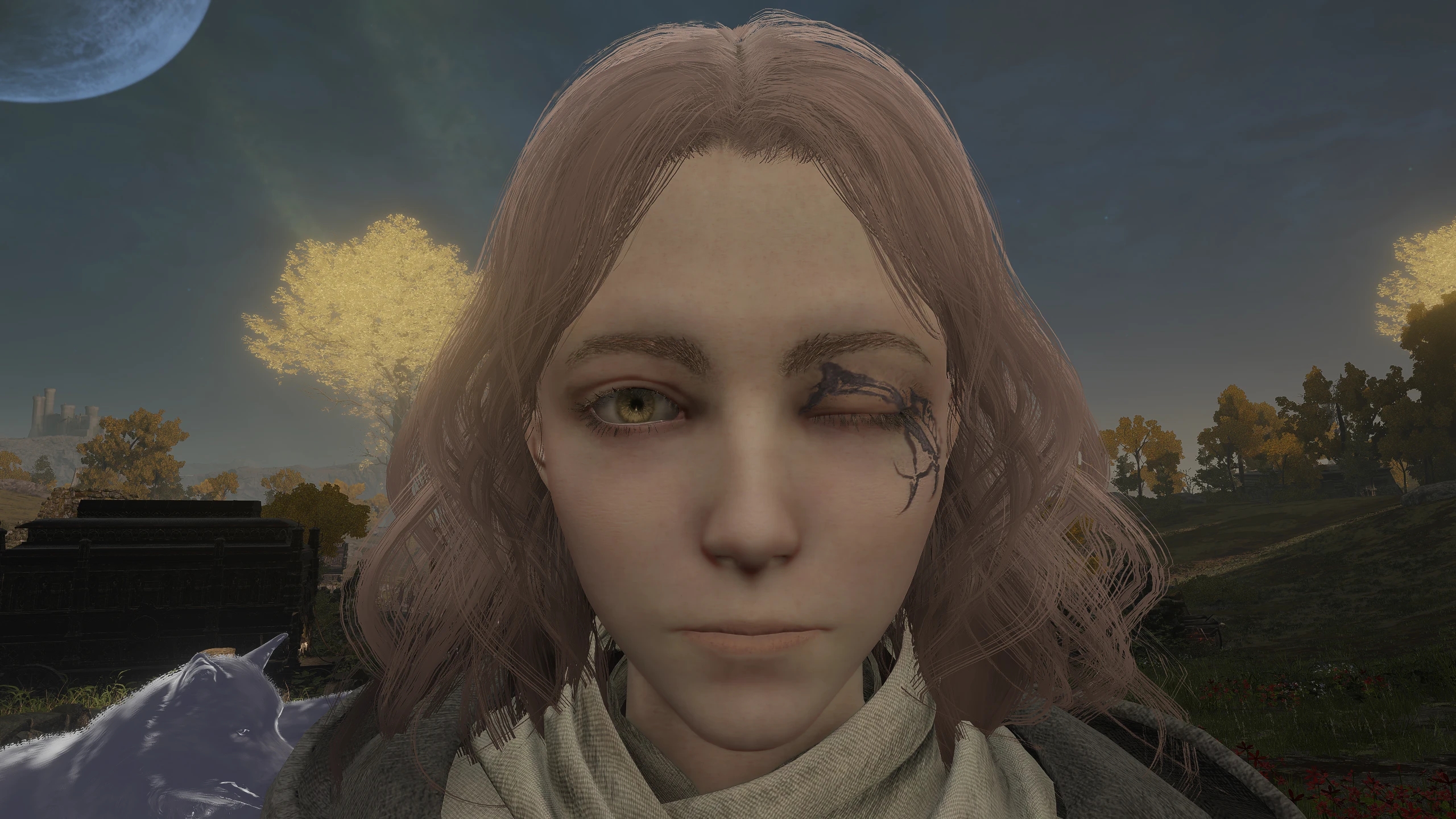 《艾爾登法環(huán)》梅麗娜與黑刀招式組合MOD