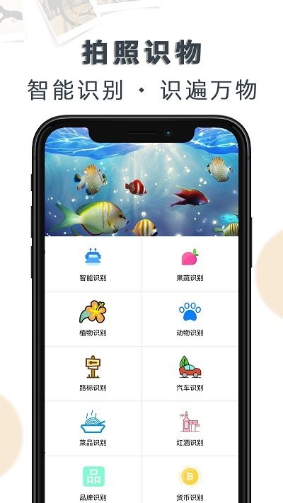 豆拍拍照識物