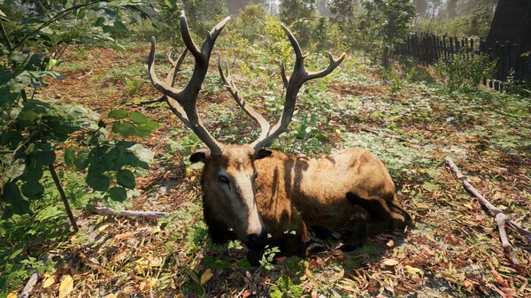 俄羅斯靈魂模擬器