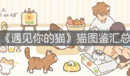 《遇見你的貓》貓圖鑒匯總