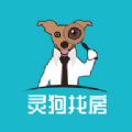 靈狗找房