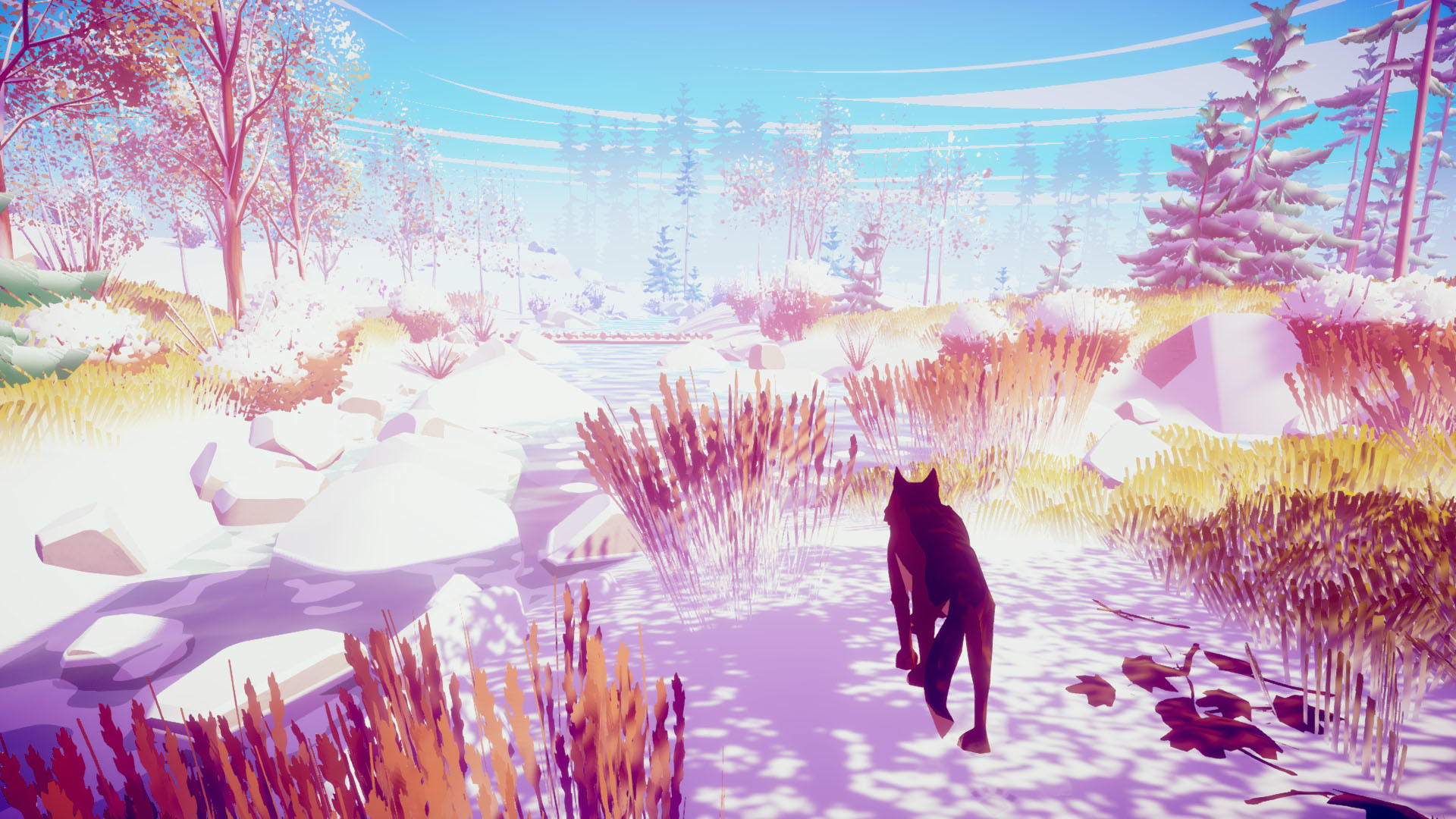 我的狼：桌面野生寵物