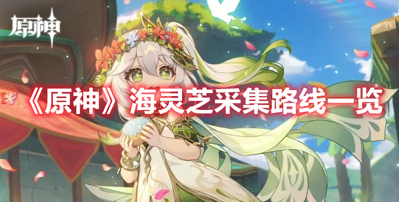 《原神》海靈芝采集路線一覽