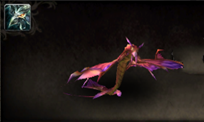 《魔獸世界》寵物鳳頭隼雛鳥獲取攻略