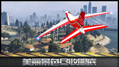 模擬飛行大冒險(xiǎn)