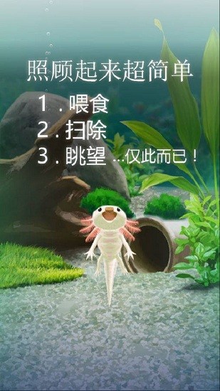 治愈的蠑螈