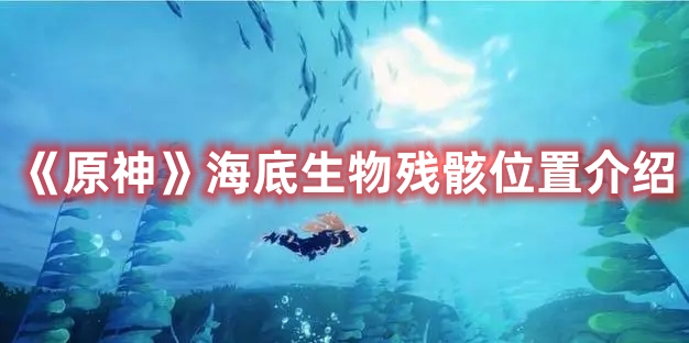 《原神》海底生物殘骸位置介紹