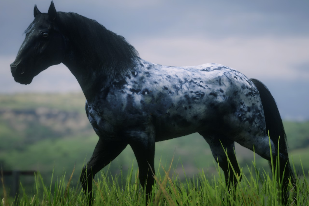 《荒野大鏢客2》藍色斑點穆爾格斯馬MOD