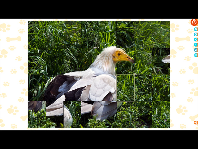 拼圖逃脫：爪子與爪牙