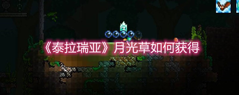《泰拉瑞亞》月光草如何獲得