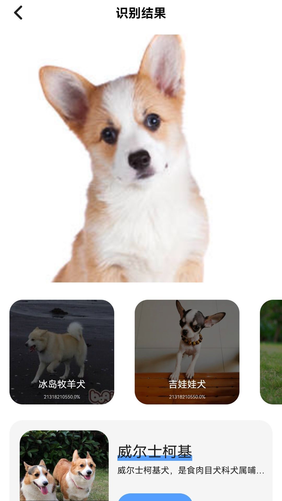 識(shí)別王拍照識(shí)別