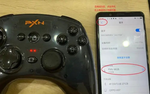 小雞模擬器官方版