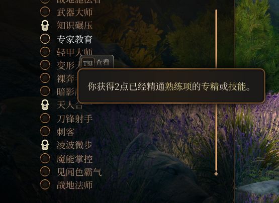 《博德之門3》HighmostFeats頂級專長擴展MOD