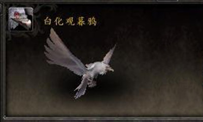 《魔獸世界》寵物白化觀暮鴉獲取攻略