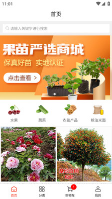 辰陽商城