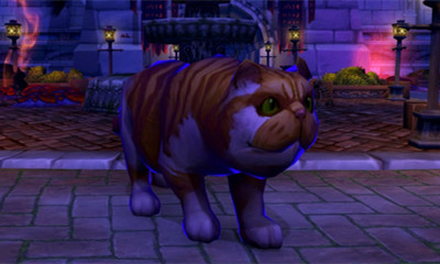 《魔獸世界》寵物虛痕貓獲取攻略