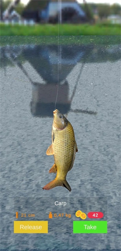 浮子釣魚
