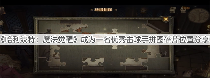 《哈利波特：魔法覺醒》成為一名優(yōu)秀擊球手的決竅?當(dāng)然是沒日沒夜的訓(xùn)練!