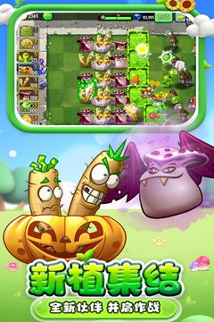 植物大戰(zhàn)僵尸無名版