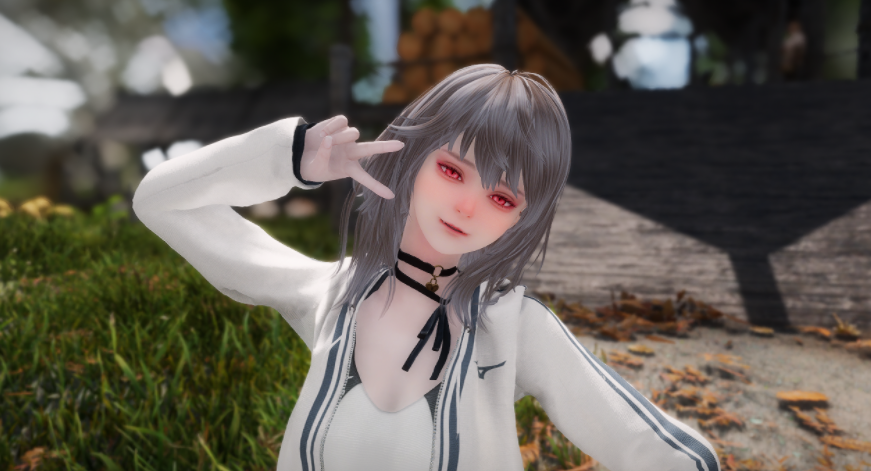 《上古卷軸5：天際重制版》HighPolyHead高聚頭v1.4MOD