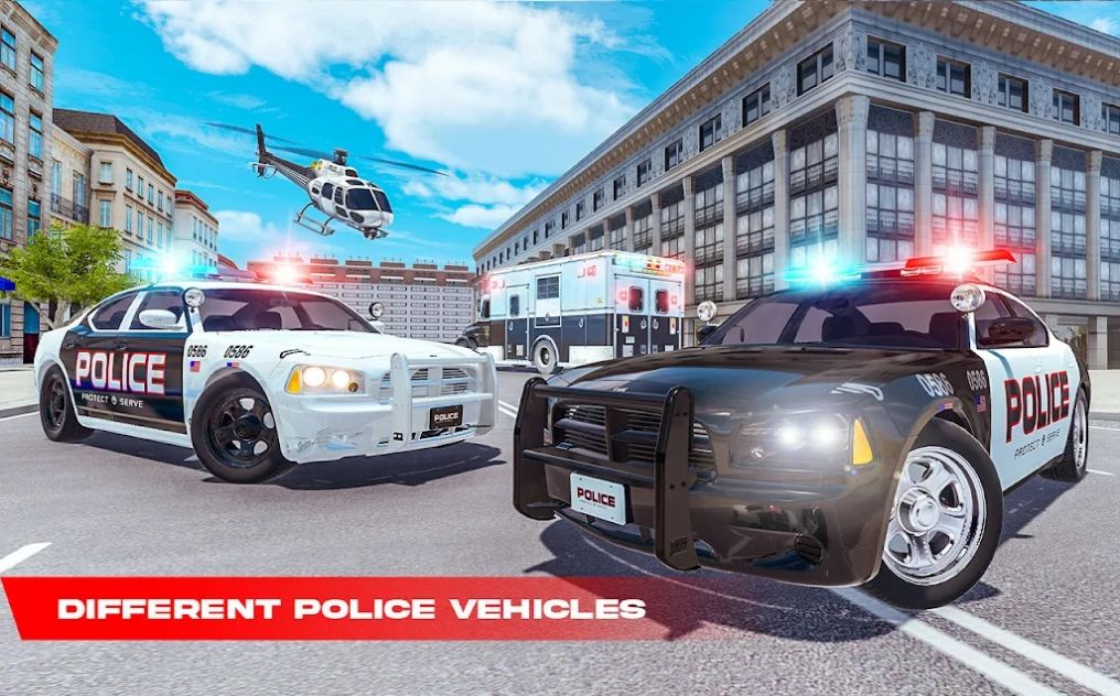 真實(shí)警車駕駛模擬器