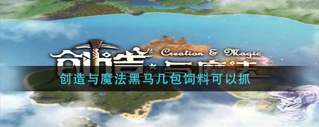 《創(chuàng)造與魔法》黑馬抓取方法