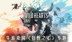 狂野之心
