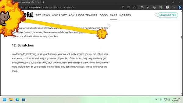 桌面寵物項(xiàng)目