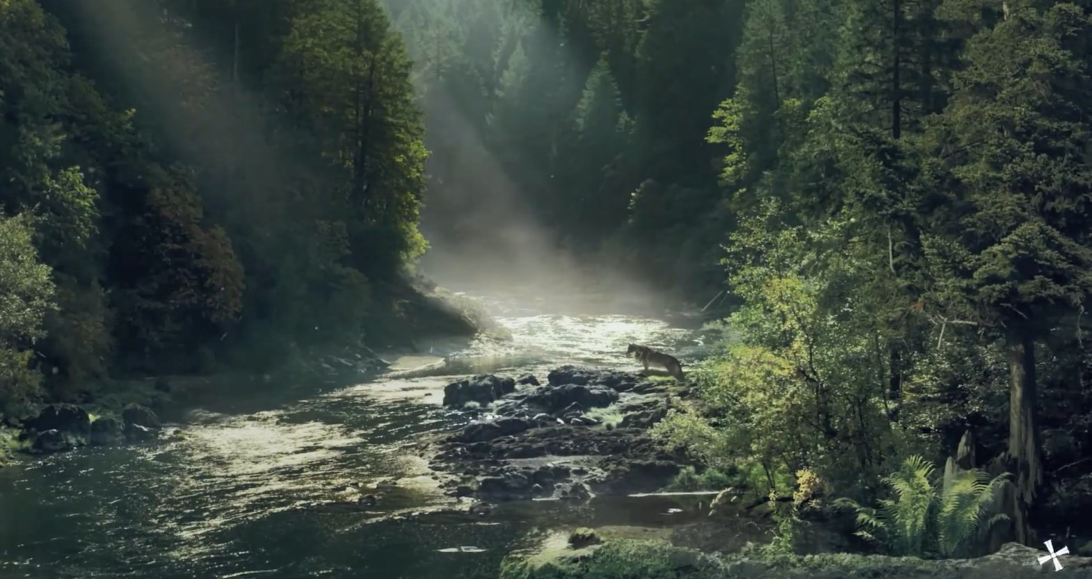 《Wallpaper Engine》孤島驚魂5Jacob領地加載界面動態壁紙