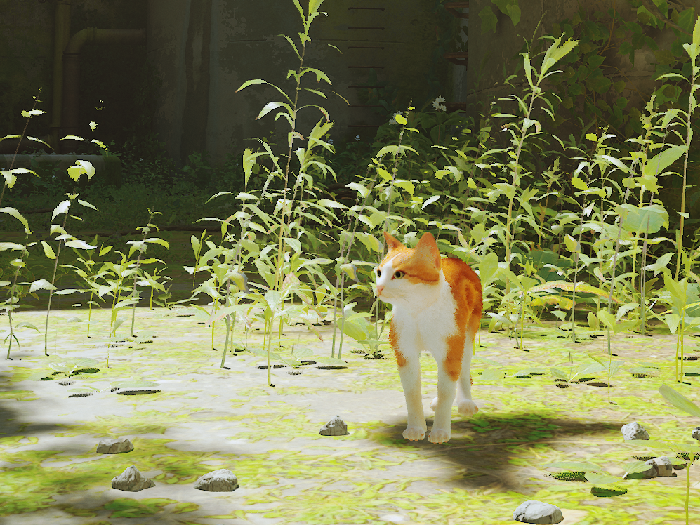 《迷失Stray》橘白經典漩渦花斑貓MOD