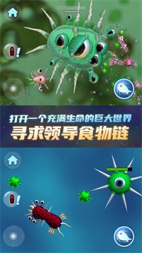 物種進化器