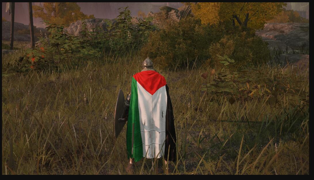 《艾爾登法環》巴勒斯坦國旗騎士披風MOD