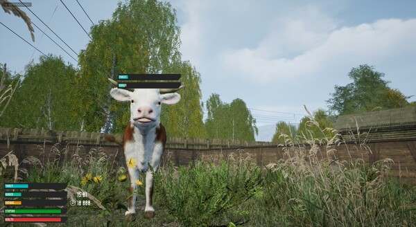 俄羅斯鄉村模擬器