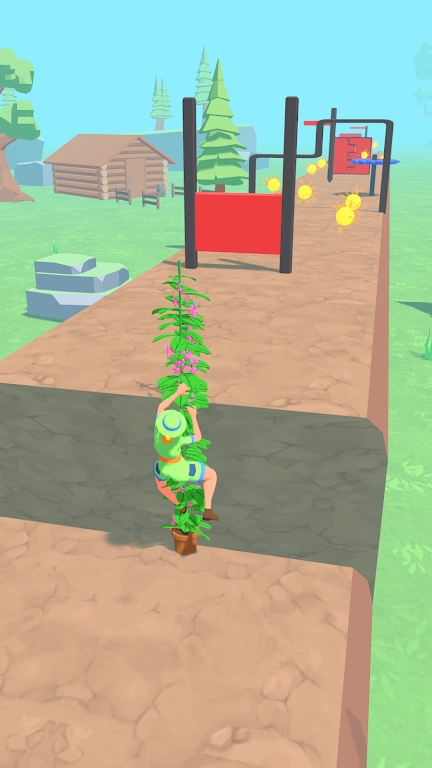 植物賽跑者