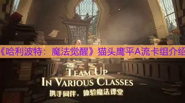 《哈利波特：魔法覺醒》貓頭鷹平A流卡組介紹