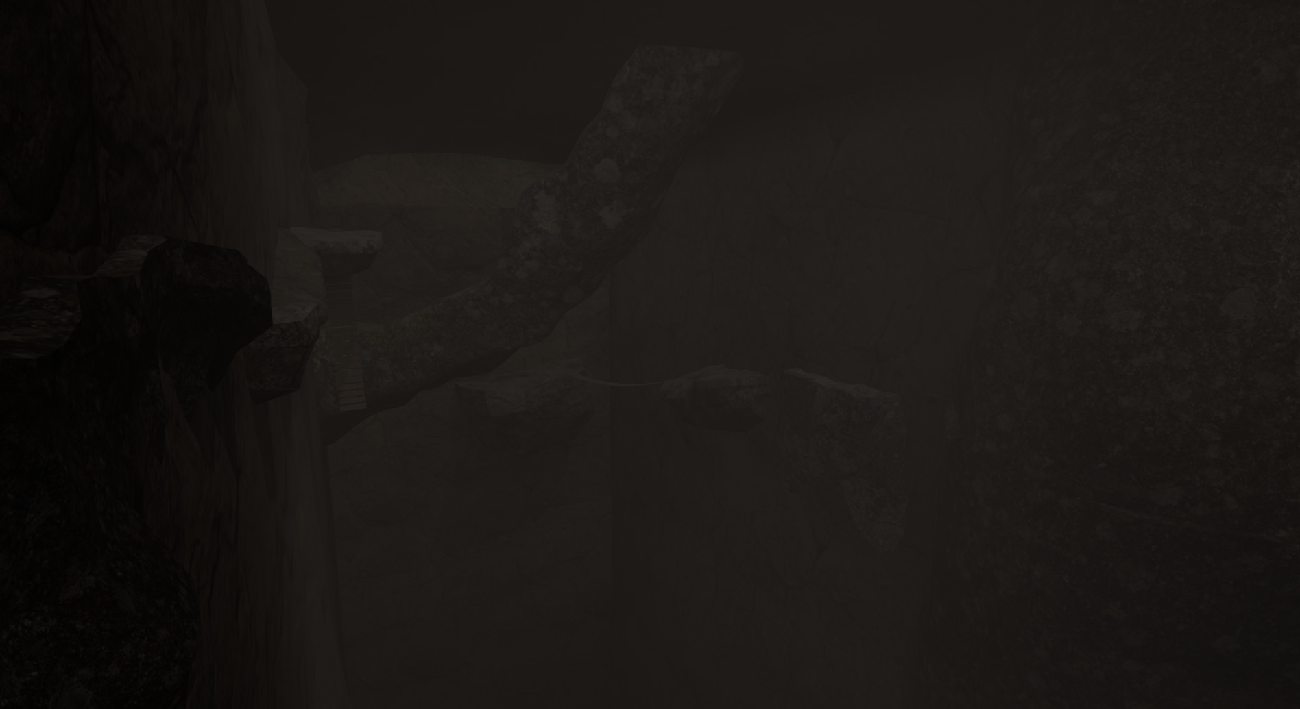 洞穴探險(xiǎn)者