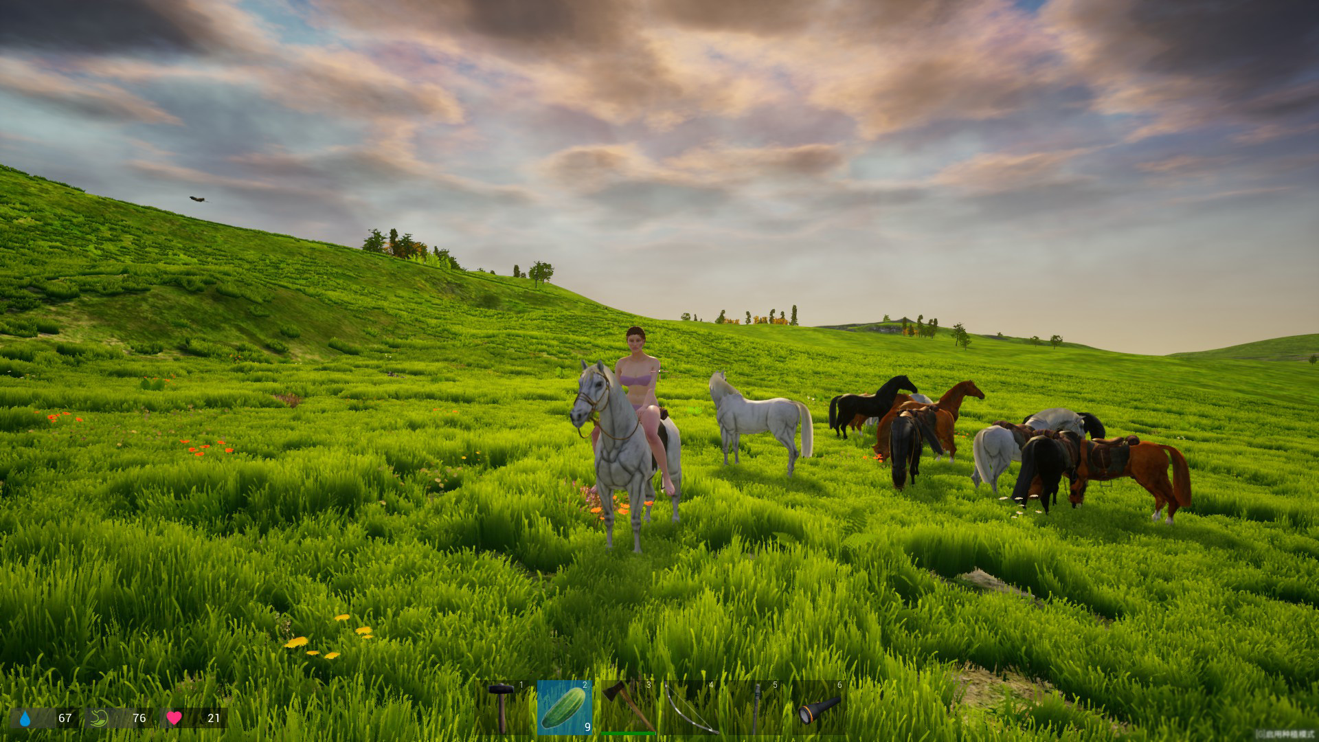 我的海島中文版