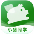 小豬同學