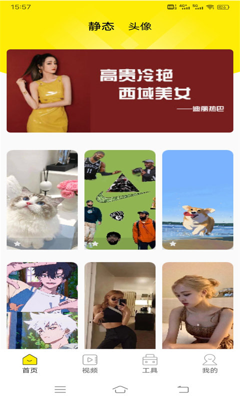 四季視頻壁紙