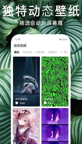 靈貓桌面壁紙