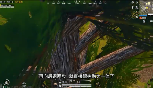 《和平精英》石心城上樹陰人技巧