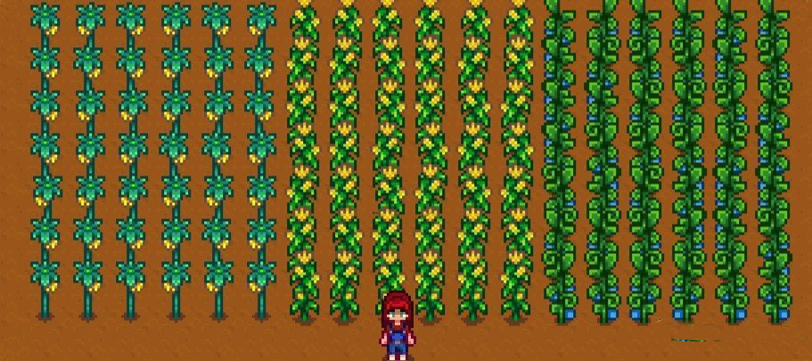 《星露谷物語》更好的作物可見MOD