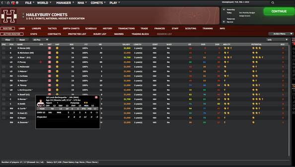 特許經營曲棍球經理10