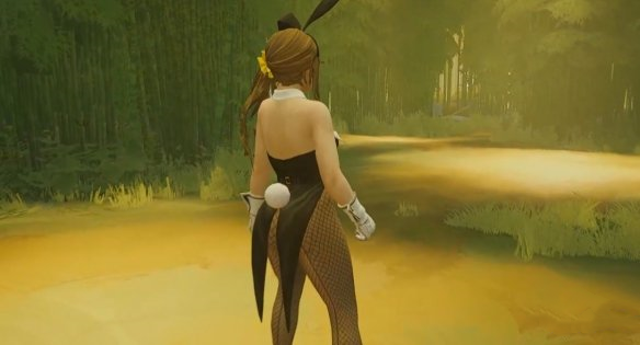 《師父》女性可扮演死或生兔女郎海咲MOD