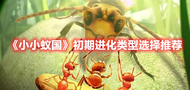 《小小蟻國》初期進(jìn)化類型選擇推薦