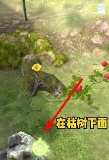 《奪筍高手》彩蛋位置大全