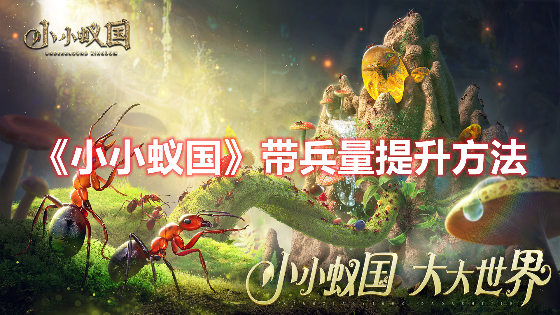 《小小蟻國》帶兵量提升方法