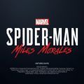 漫威蜘蛛俠邁爾斯2022