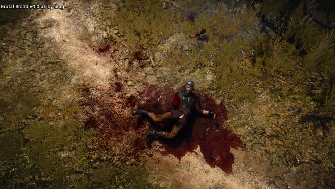 《巫師3次世代版》殘酷血液MOD