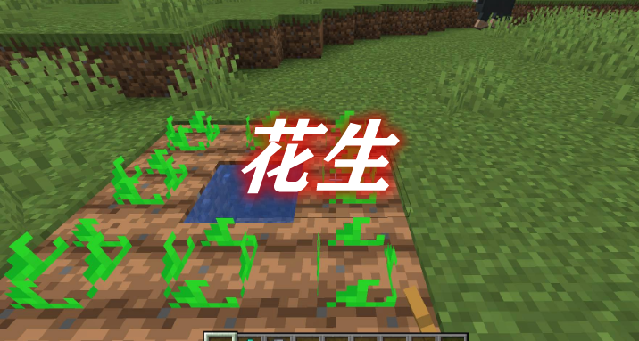《我的世界》花生PeanutsMod